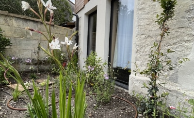 simon-hirtz-CokauLab-3