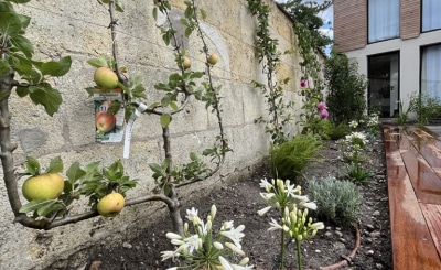 simon-hirtz-CokauLab-4